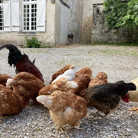 Du Chateau De Отель типа 