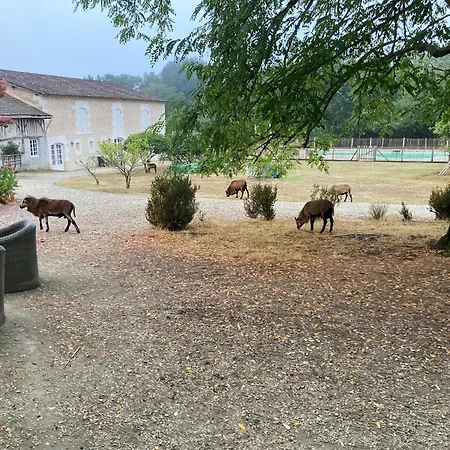 Du Chateau De Отель типа 