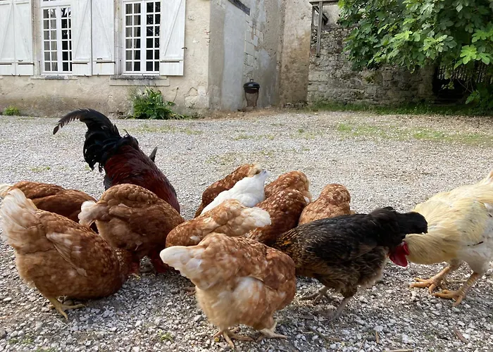 Du Chateau De Bed & Breakfast Servanches