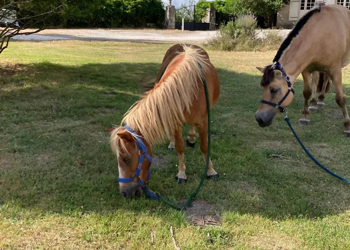 Du Chateau De Bed & Breakfast