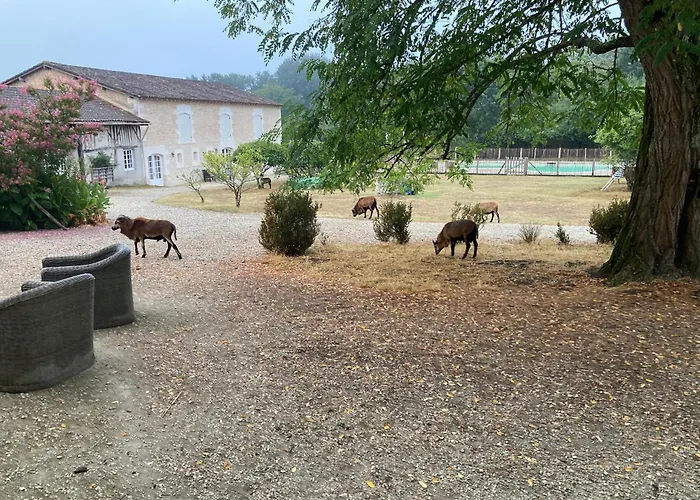 Du Chateau De Bed & Breakfast